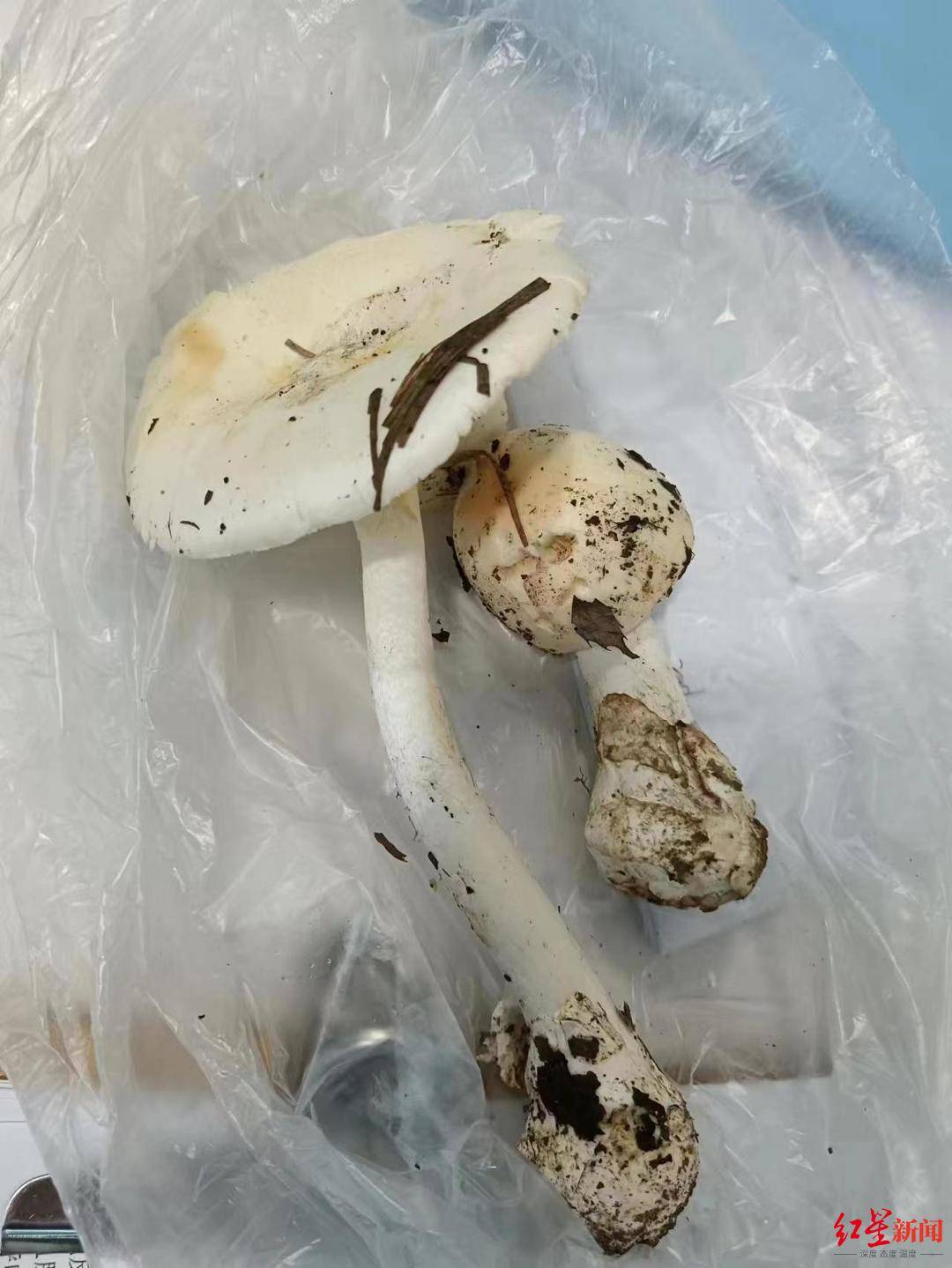 【河南4例为一家四口/河南一家4口被灭门案件详情介绍】