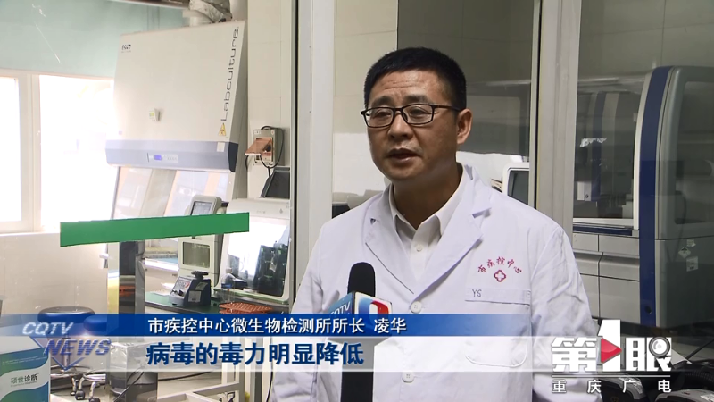 周口太康本轮疫情病毒为奥密克戎-乙肝患者可以吃茄子吗