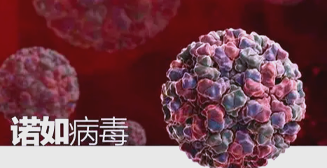 疫情最新数据消息山东〃山东疫情最新消息2025年8月