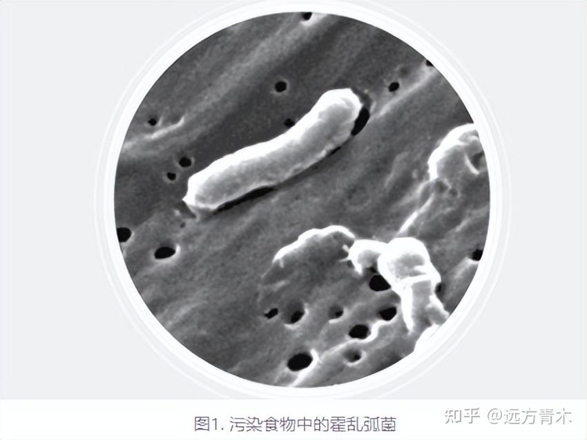 【武汉确诊/武汉确诊病例最新情况】-第3张图片