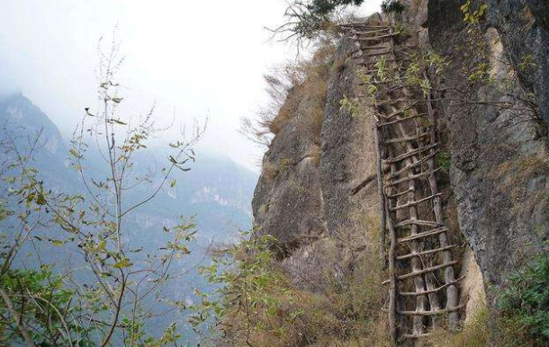 四川邻水6天增415例1天获捐超60万︰(四川 邻水)