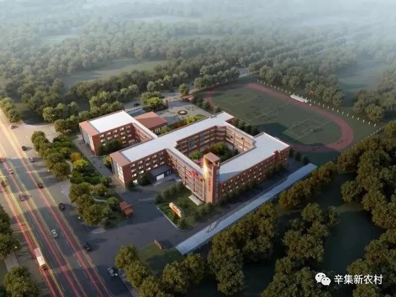 【辛集初筛阳性17例/辛集再次强势出圈】-第2张图片