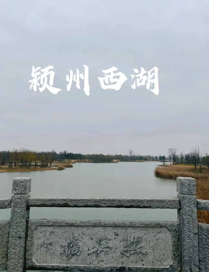 官方派组赴皖北小城-皖北的