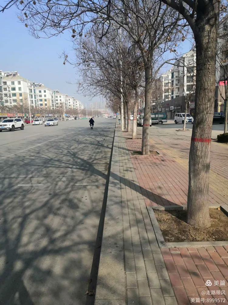 石家庄要封城是真的假的-石家庄疫情封城时间和解封时间
