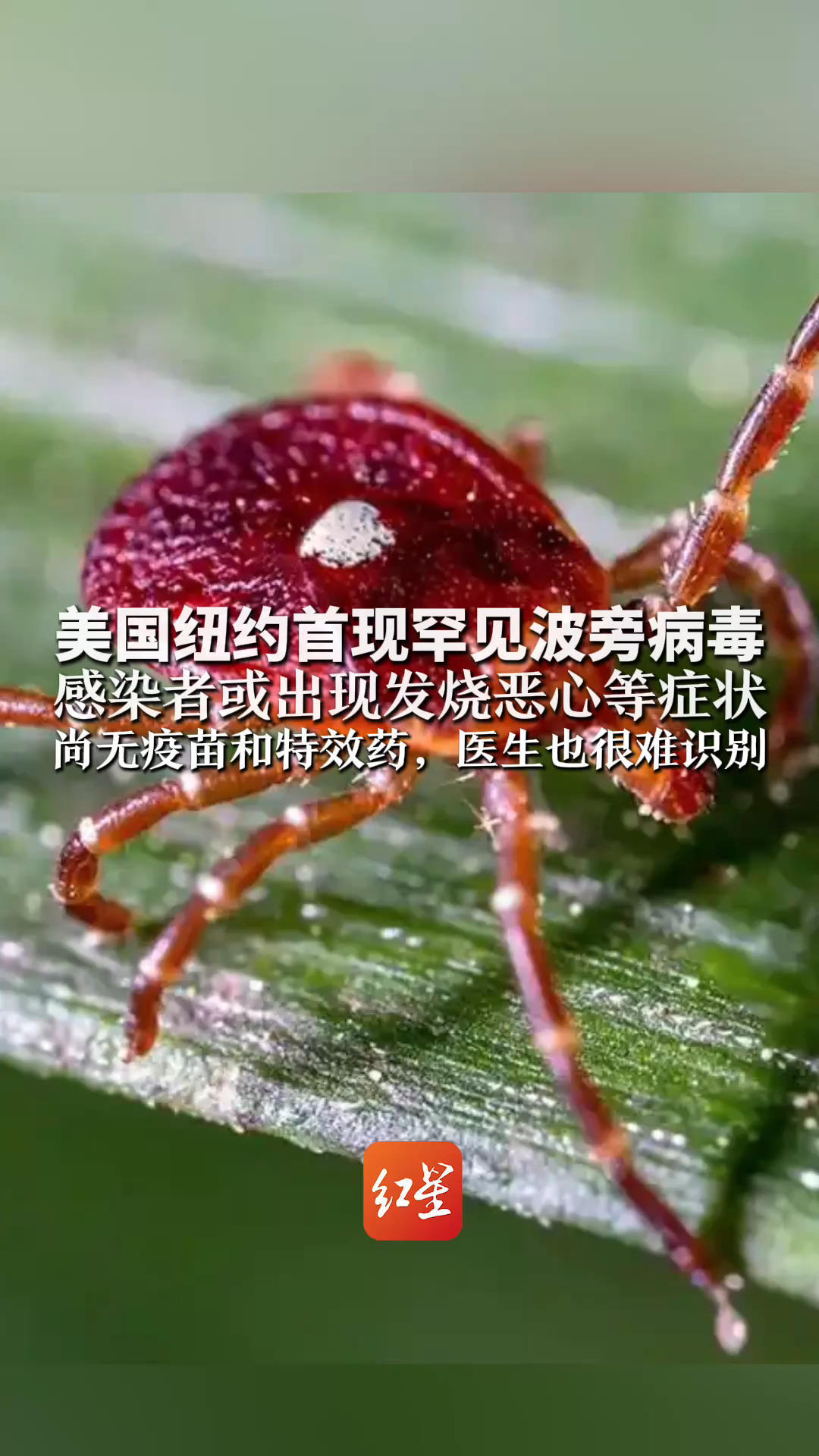 “美国新增超3万例	” 美国病毒新增？-第2张图片