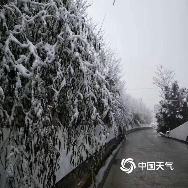 “陇南疫情” 陇南近期天气情况？-第3张图片